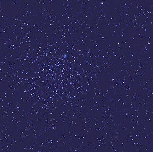 Meet your Posher, Sofia